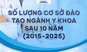 9bbf81a3c6fcb72c5d78.jpg