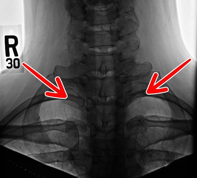 9bc587936755a754ca46.jpg