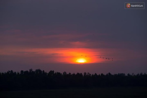 9bdbdeb18264703d38d0.jpg