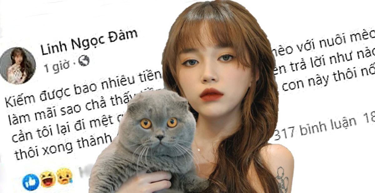 9c07c6754bd4a0f4cfad.jpg