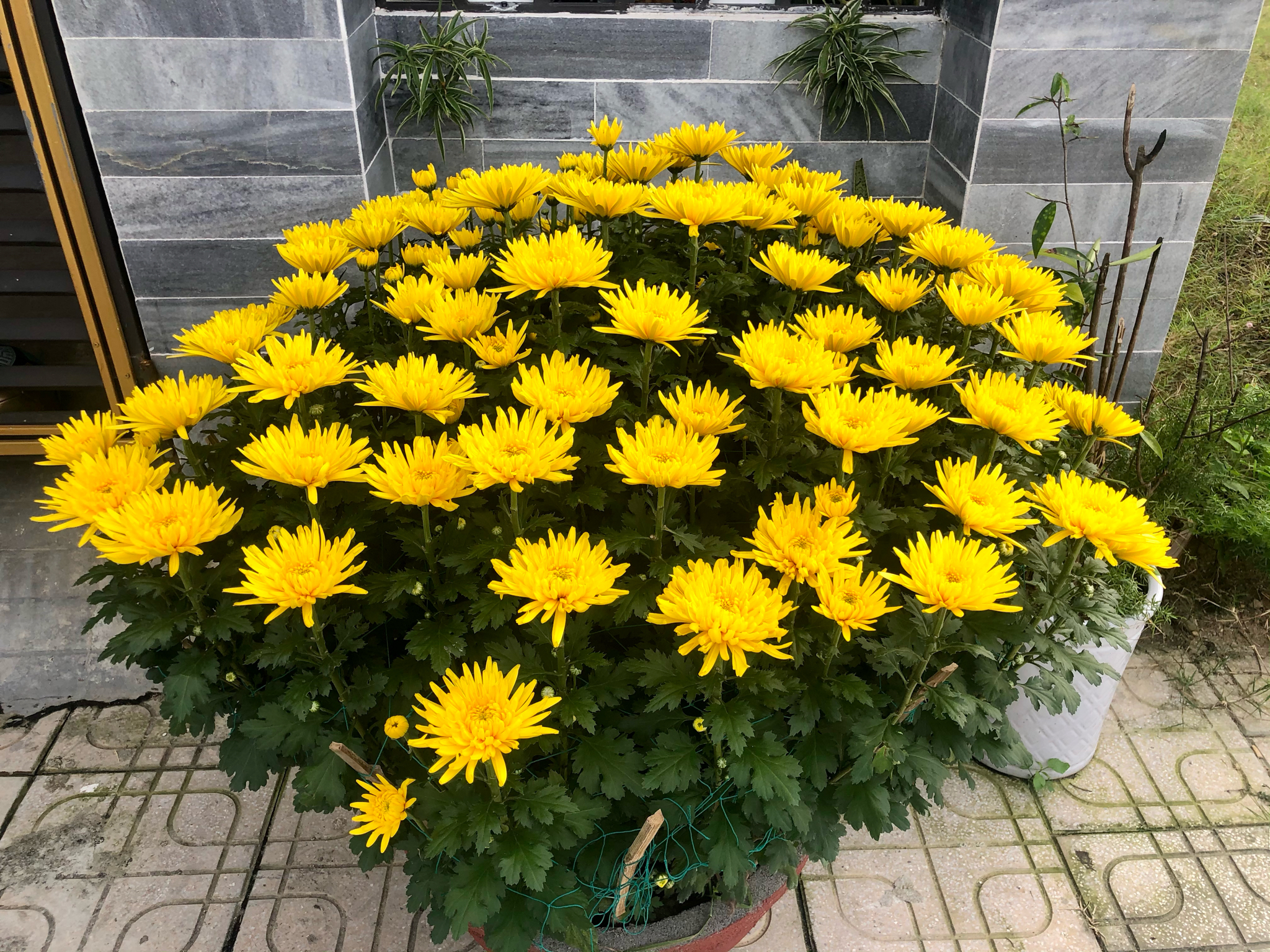 9c6027b239c5de1ef577.jpg