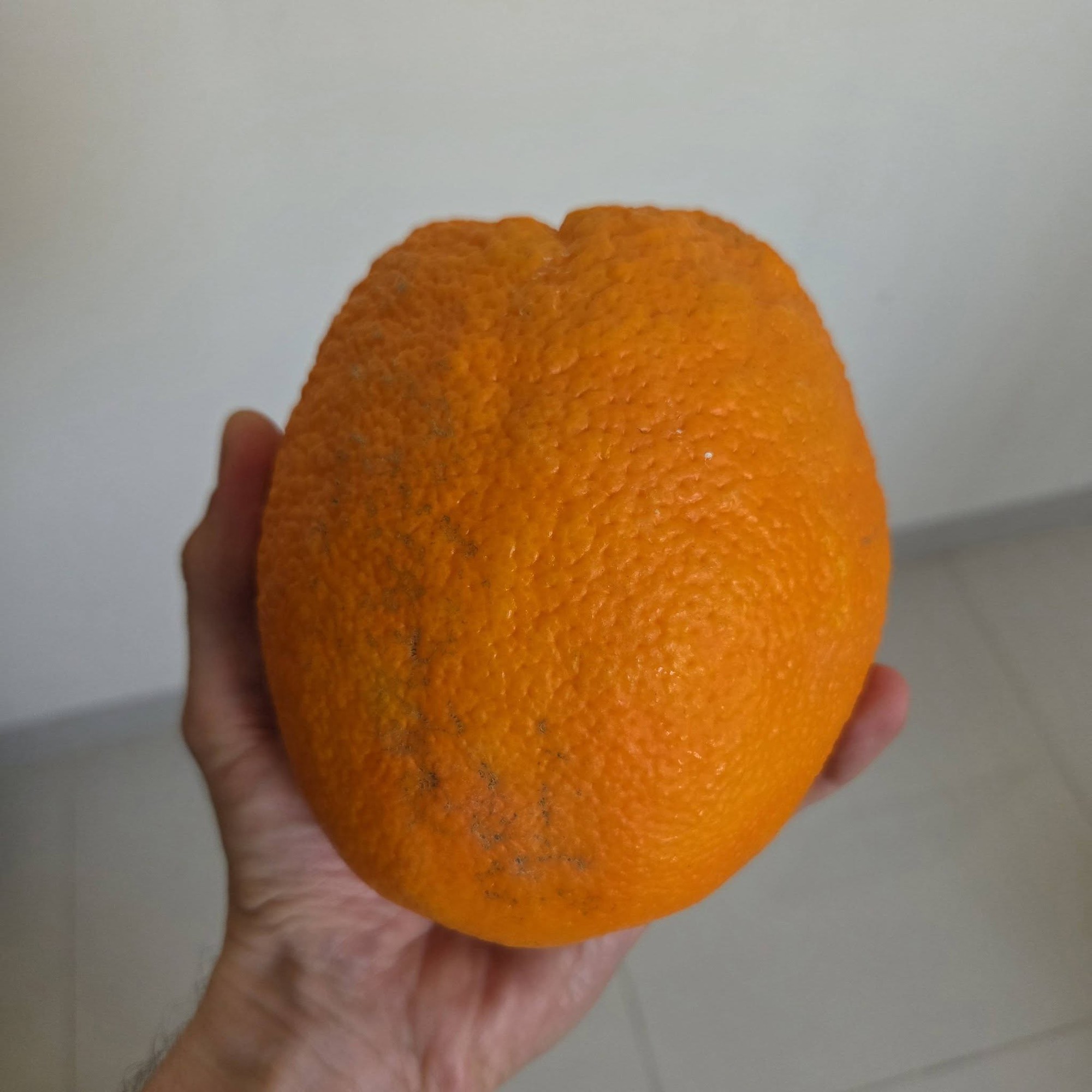 9c701ee254766b8fae81.jpg