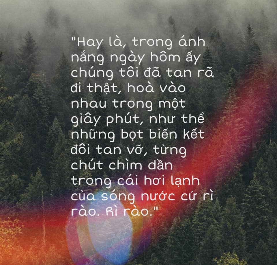 9ca35c26e8deda2c4bab.jpg