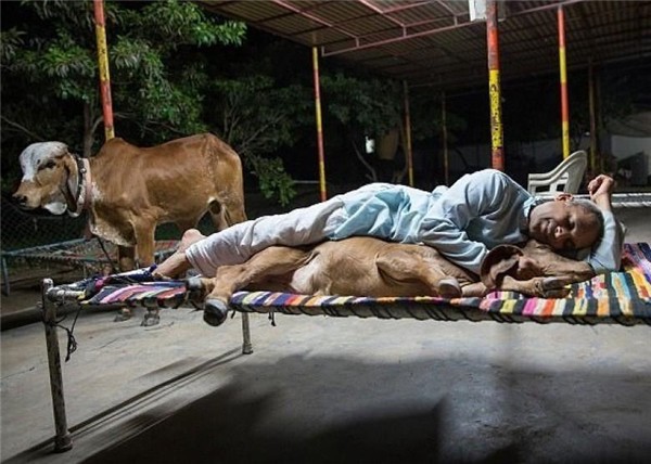 9cc082b70d5be17aebf5.jpg
