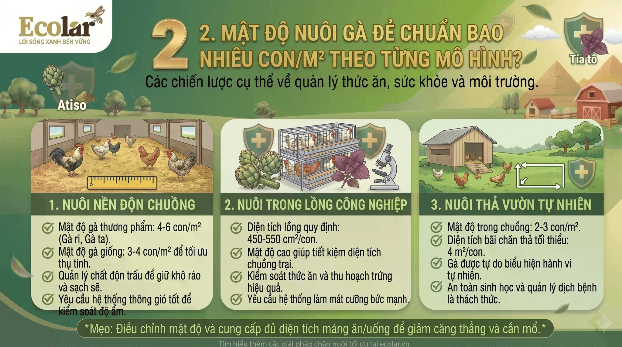 9ccab4f55c3408771183.png