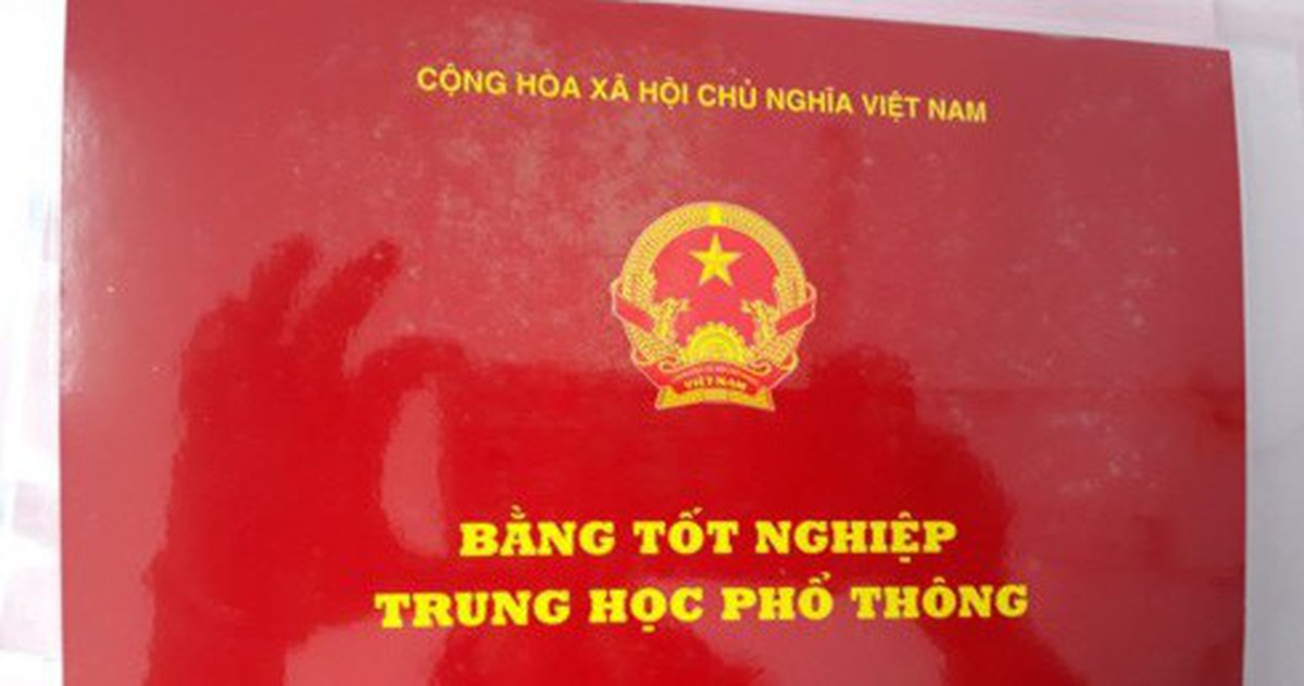 9d23cd3cc53d9d8b76cf.jpg
