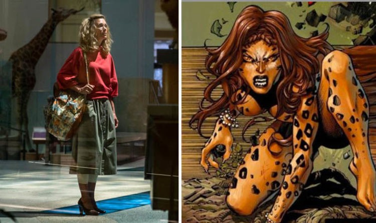 9d35c76c48b9e347f7c5.jpg