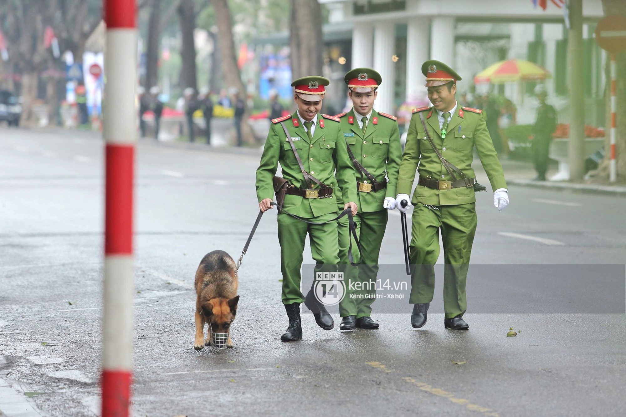 9d49b6ca5d7c3027970a.jpg