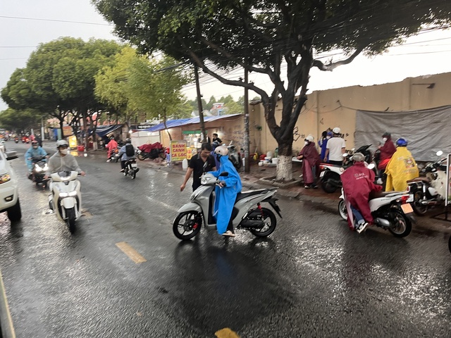 9d52556fc54397d05818.jpg