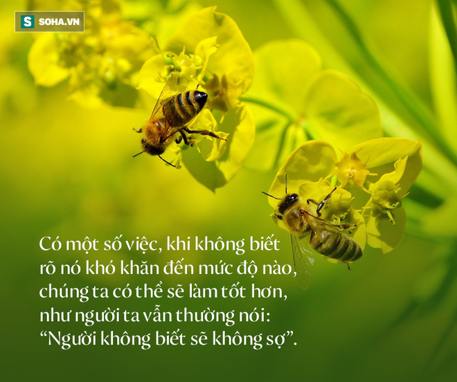 9d59ea406e3ead6e4f47.png