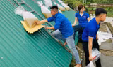 9dc4d1a005c389e962f1.jpg