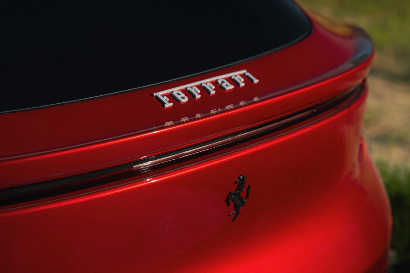 9e1acef1bdf8703ee313.jpg