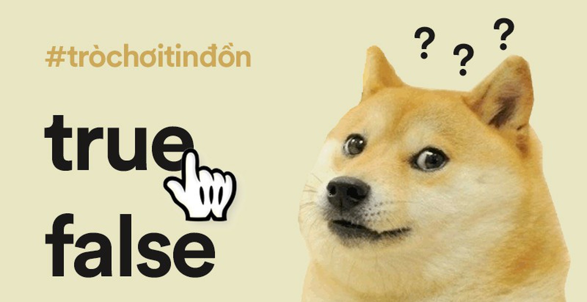 9e347ad53db48ffc396b.jpg