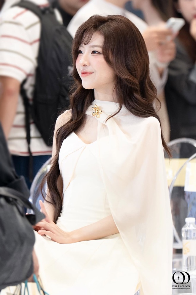 9e3c3611cb3411dd8998.jpg