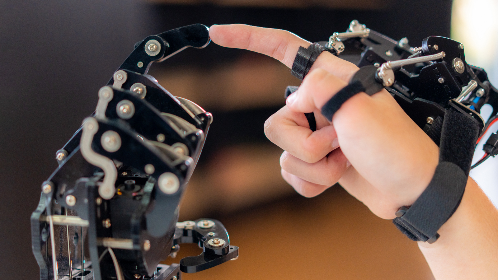 9e644731cc62f82998c1.jpg