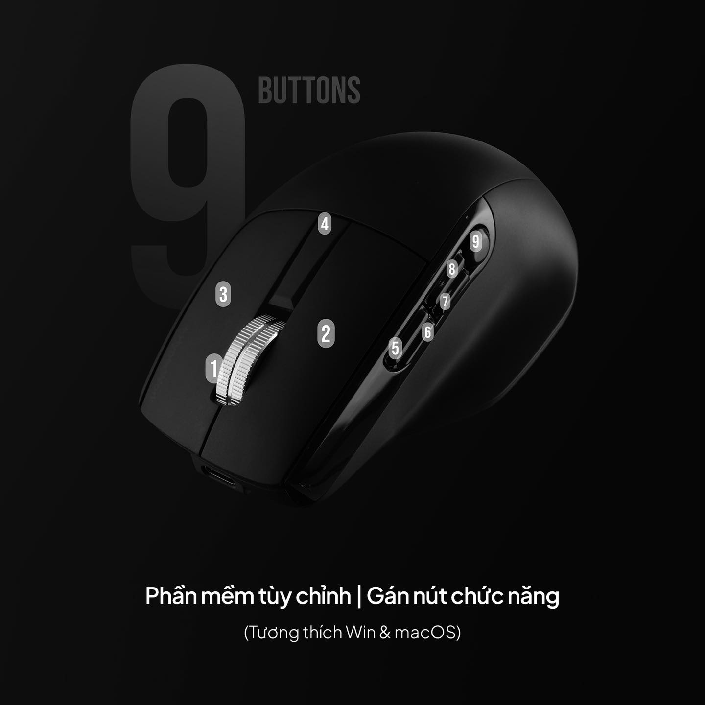 9e6f7a7f9593ad2d21c6.png