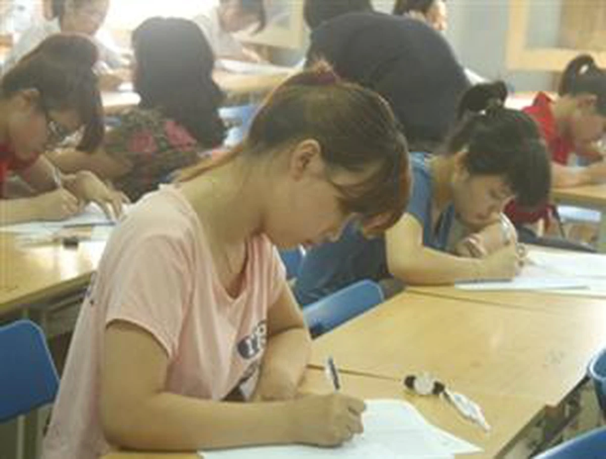 9e949150756ae699ce44.webp
