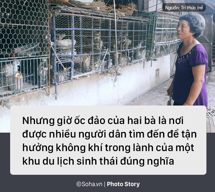 9e9a3e0059c990e811d2.png