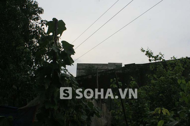 9ea066d8cc7142e809e1.jpg