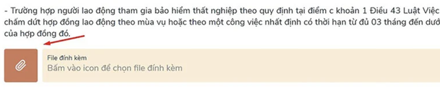 9eac7abb8c56568cf8d3.png