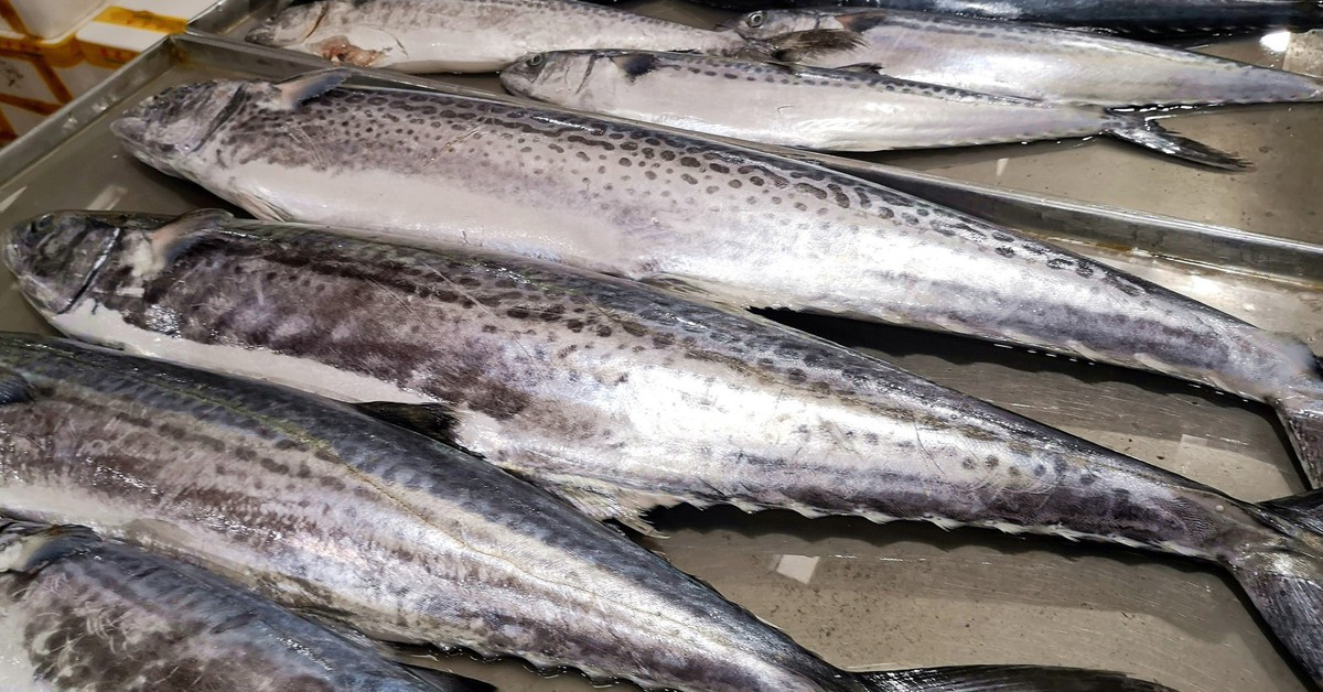 9f1dfb65c6e4b45d0e00.jpg
