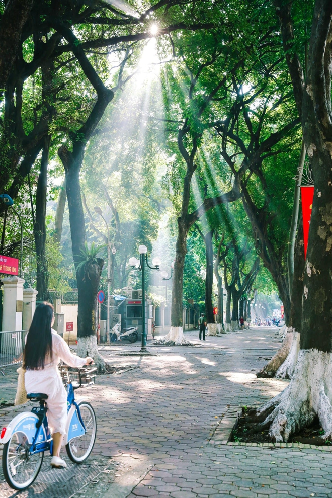 9f383da899760623c7d3.jpg