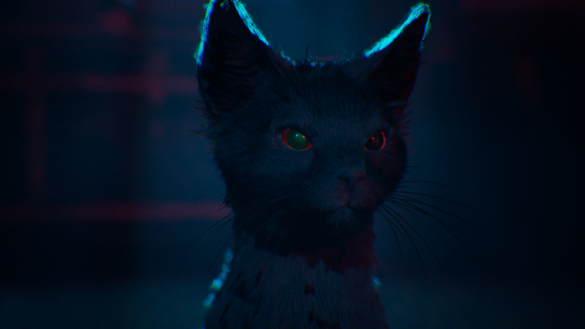 9f5dbf2b3842100db066.png