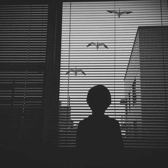 a021e9031c8d033faa38.jpg