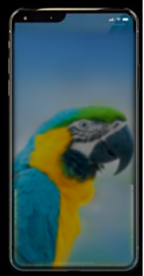 a0352eb2e4f318ef436a.png