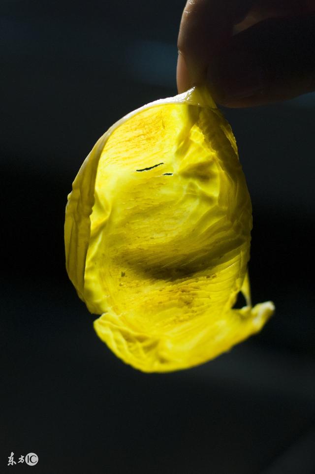 a042f46c41cd55f7a7f3.jpg
