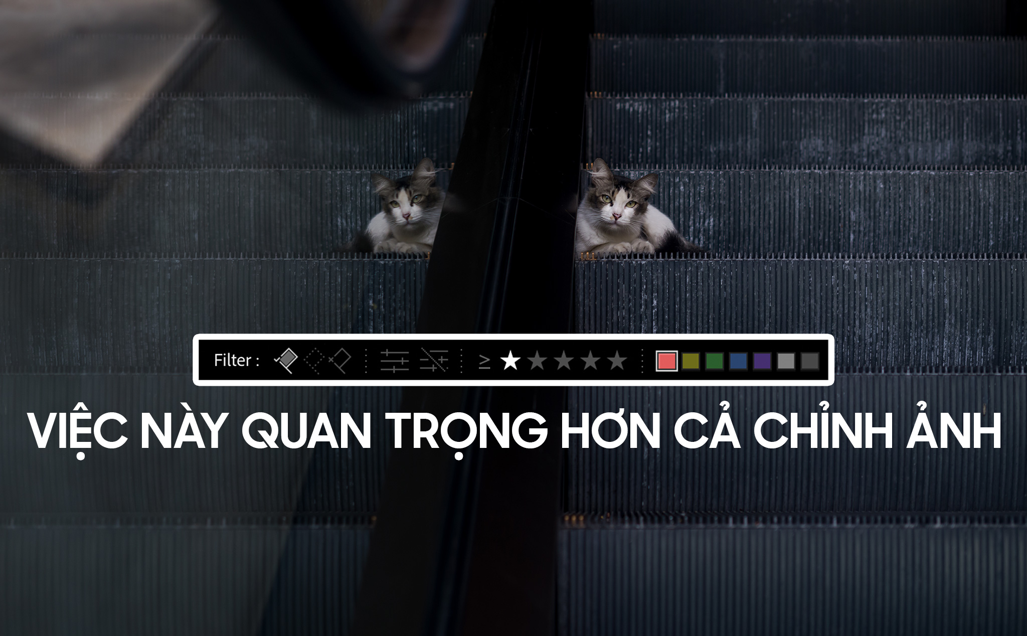 a0bc55deb5a6aaa5b4cf.jpg