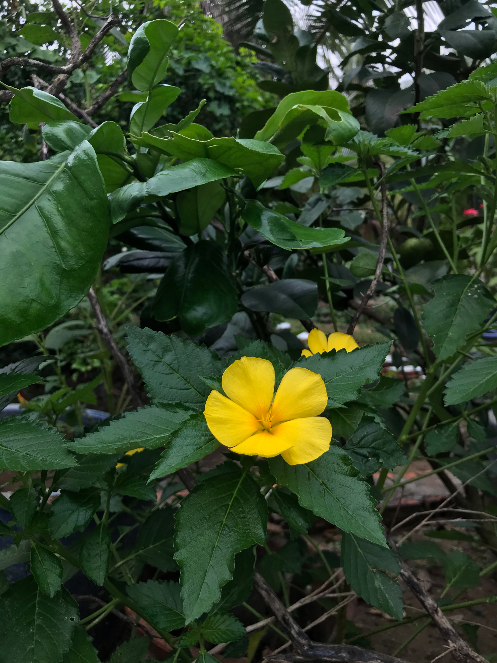 a0d85e99341d878d441f.jpg