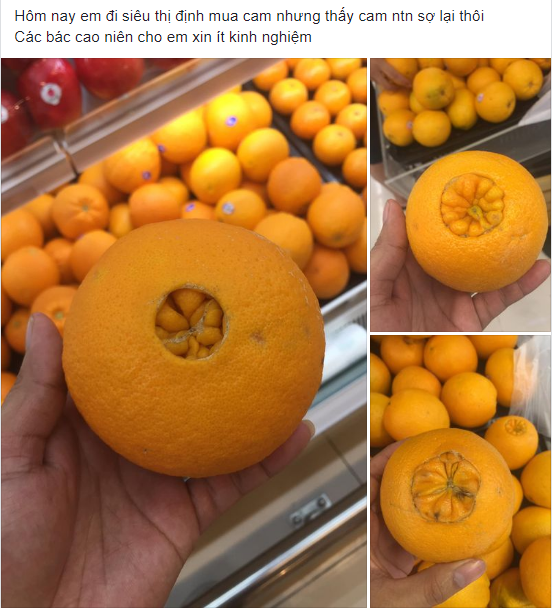 a0e89e51fd325e40a0bd.png