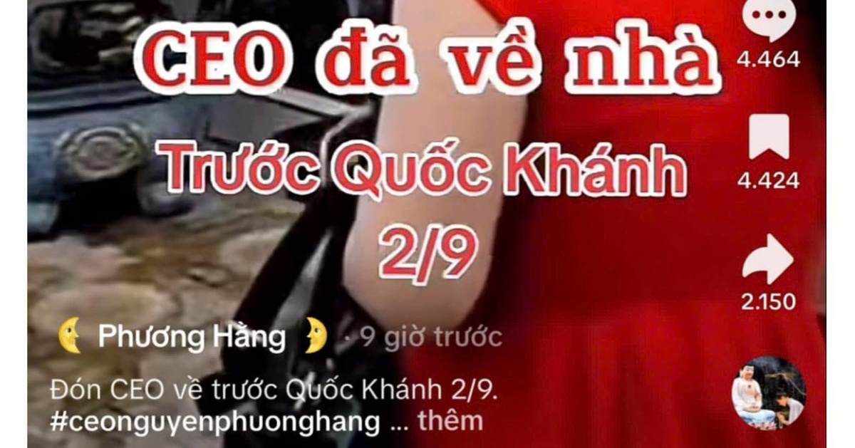 a0f179b9a8d2fbfd641b.jpg