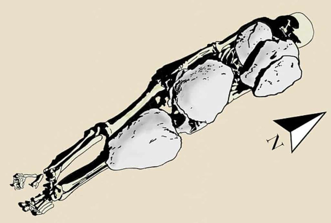a0fa9ab988c0c6e726ba.jpg
