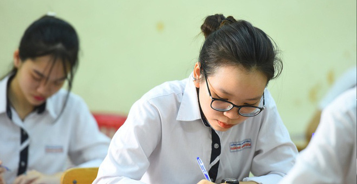 a1133531d345c2455fde.jpg