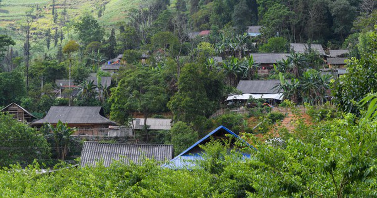 a167bff329e1fadaa0a4.jpg