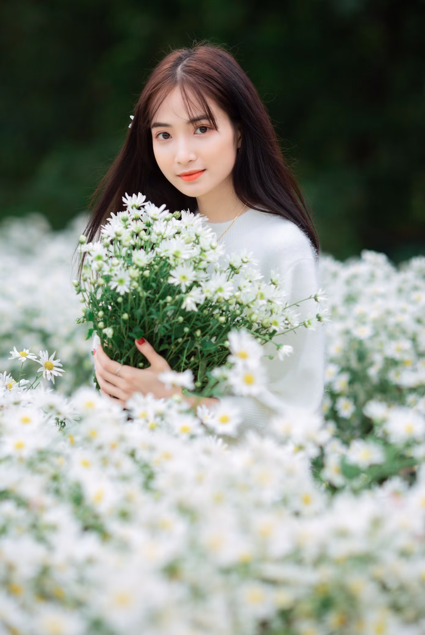 a17fc877f43fea88af50.jpg