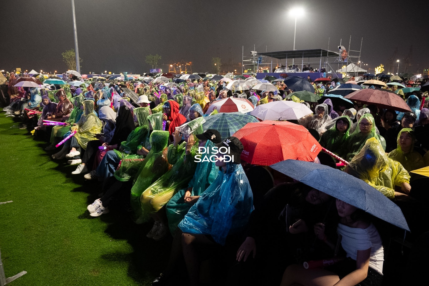a18516cb7d55bfe5f450.jpg