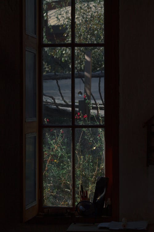 a18864950e8b6d04d8d6.jpg