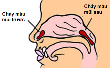 a191d29261ad0c84f9a5.png