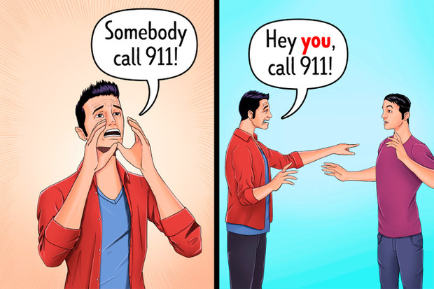 a19f08aa50dfbbd3c5bd.jpg