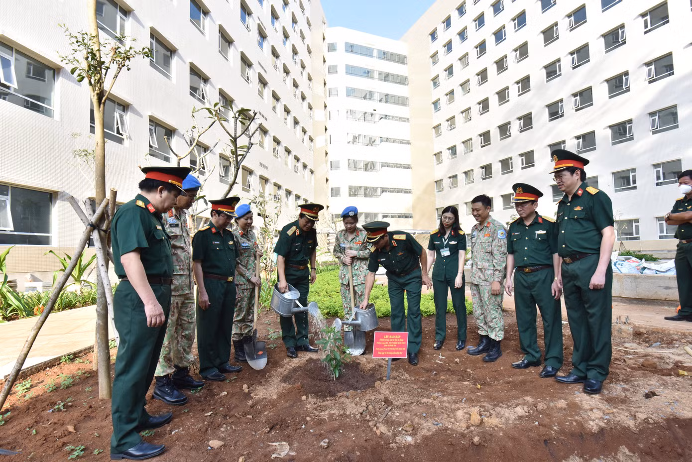 a1ca6c90037e4a4358cc.jpg