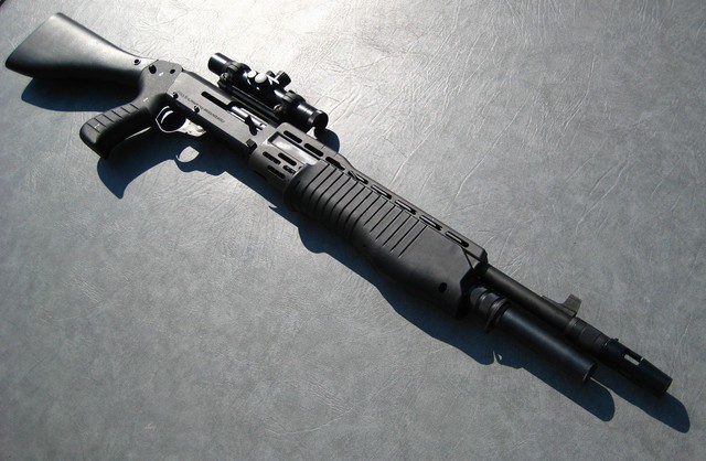 a1dfc637e530201c12cc.jpg