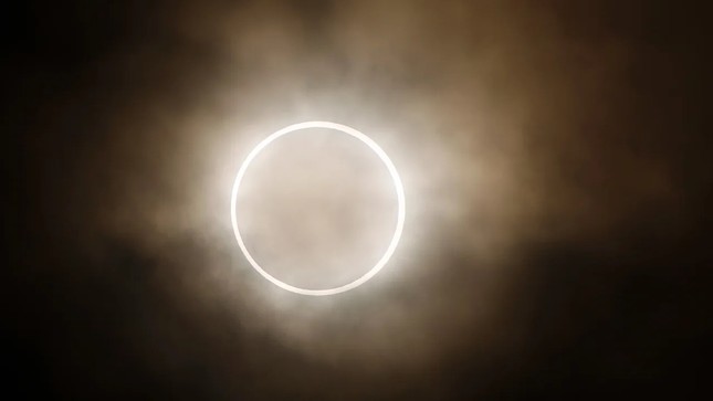 a1e575c65a1de24ab4c8.jpg