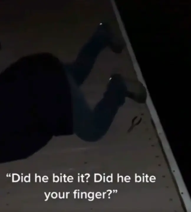 a1ee1af94b2a3d431b01.png