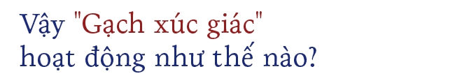 a200ddb9042607d315e9.png