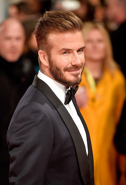 a20e72a522c5c1f50923.jpg