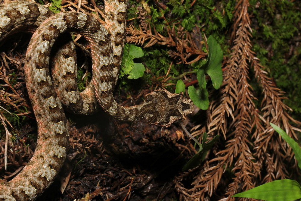 a2214a6e63d8e0d4dec7.jpg