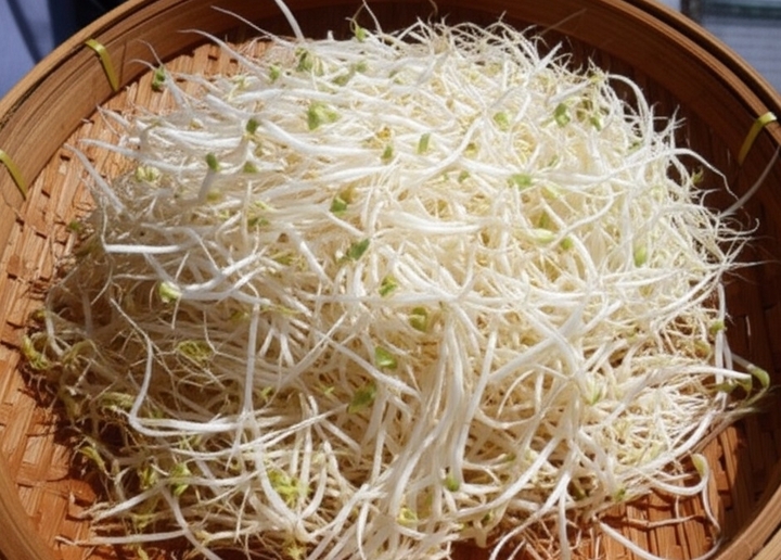 a26337464c4567191af5.jpg